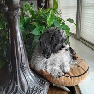 Meet your Posher, Kathy